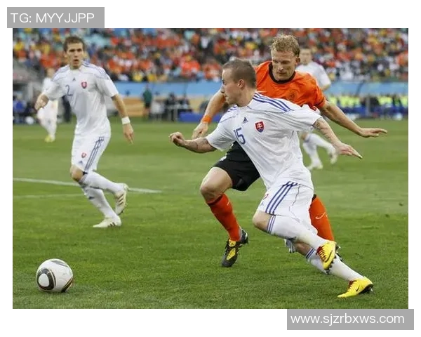 斯洛伐克与荷兰世界杯对决回顾及精彩瞬间分析